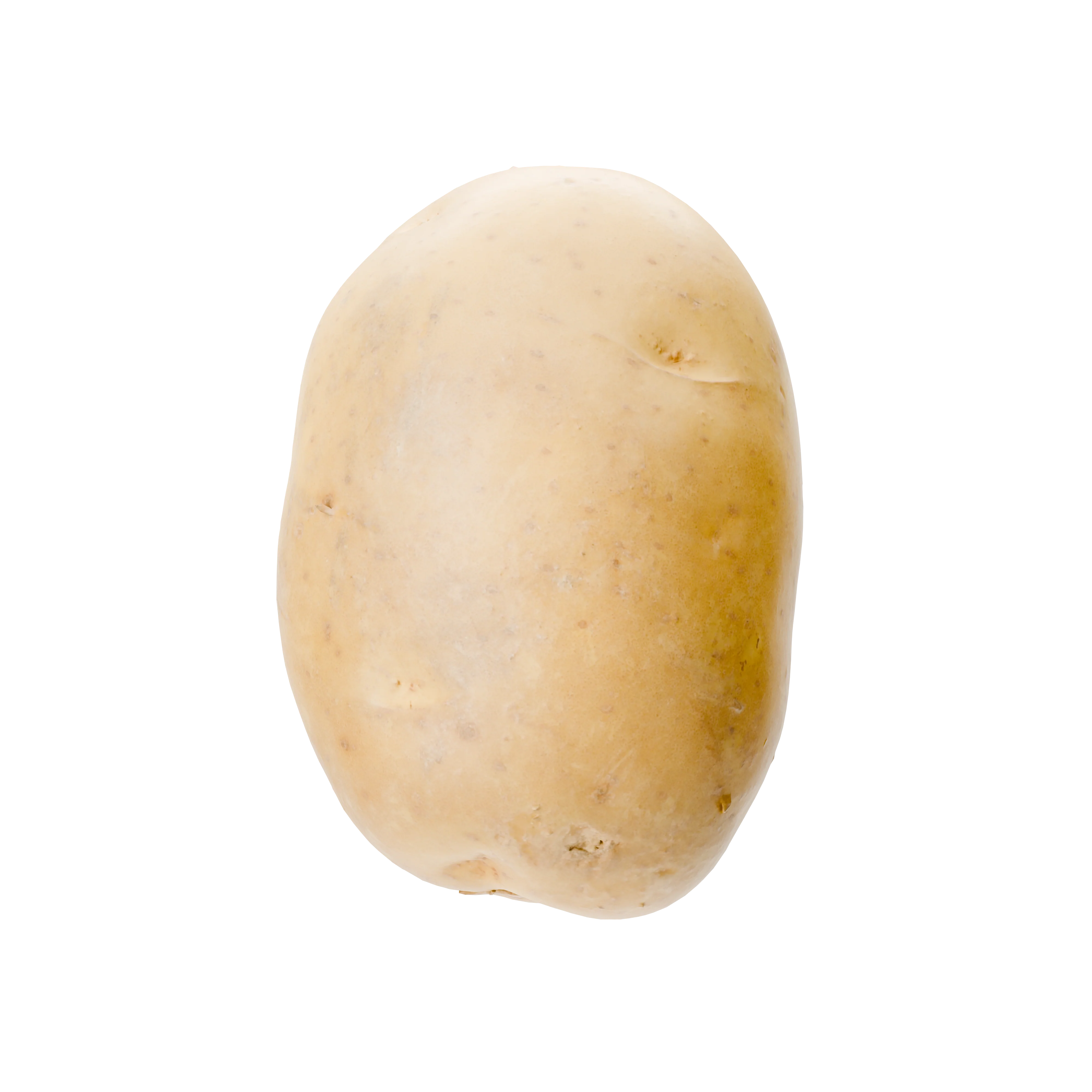 Aardappel
