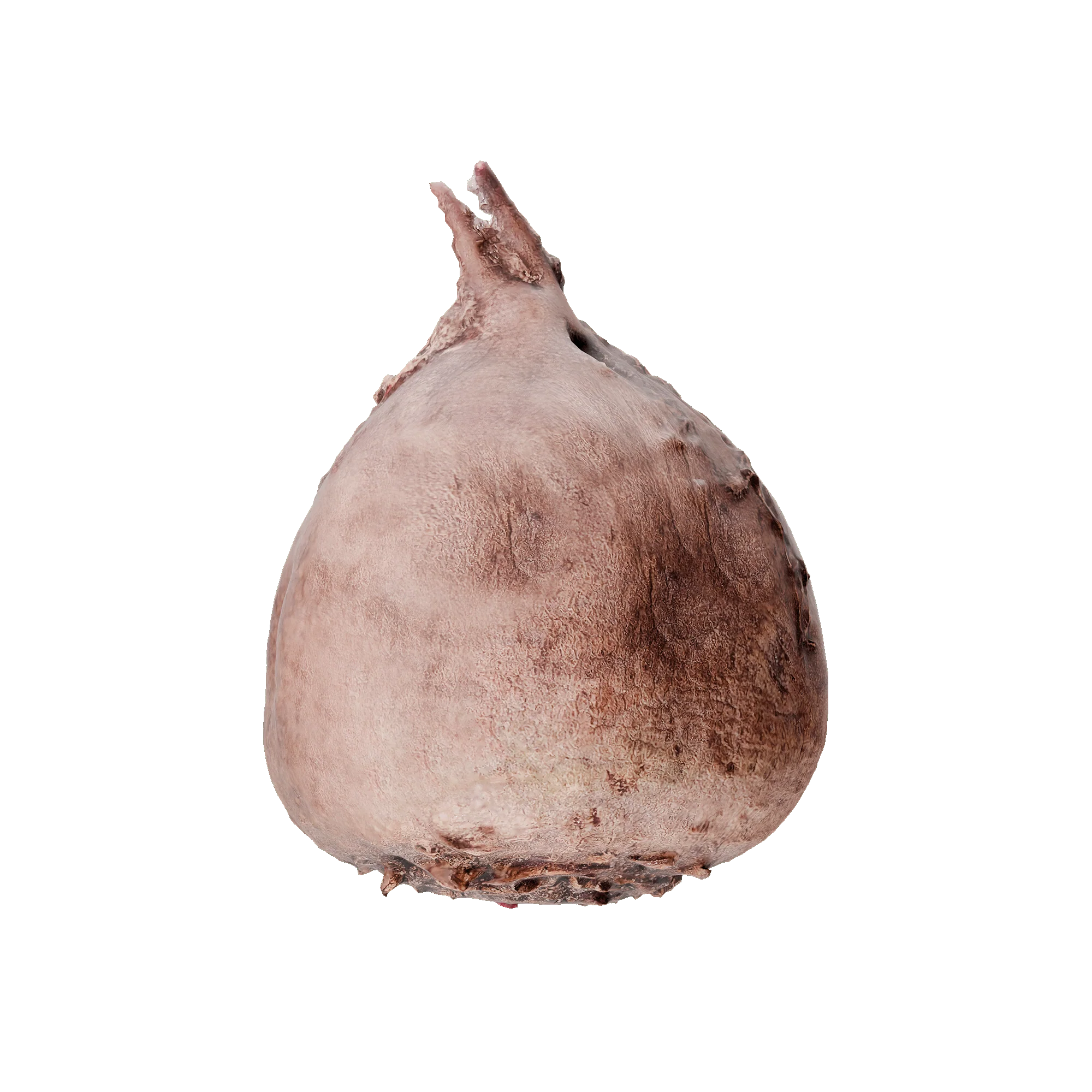 Bieten