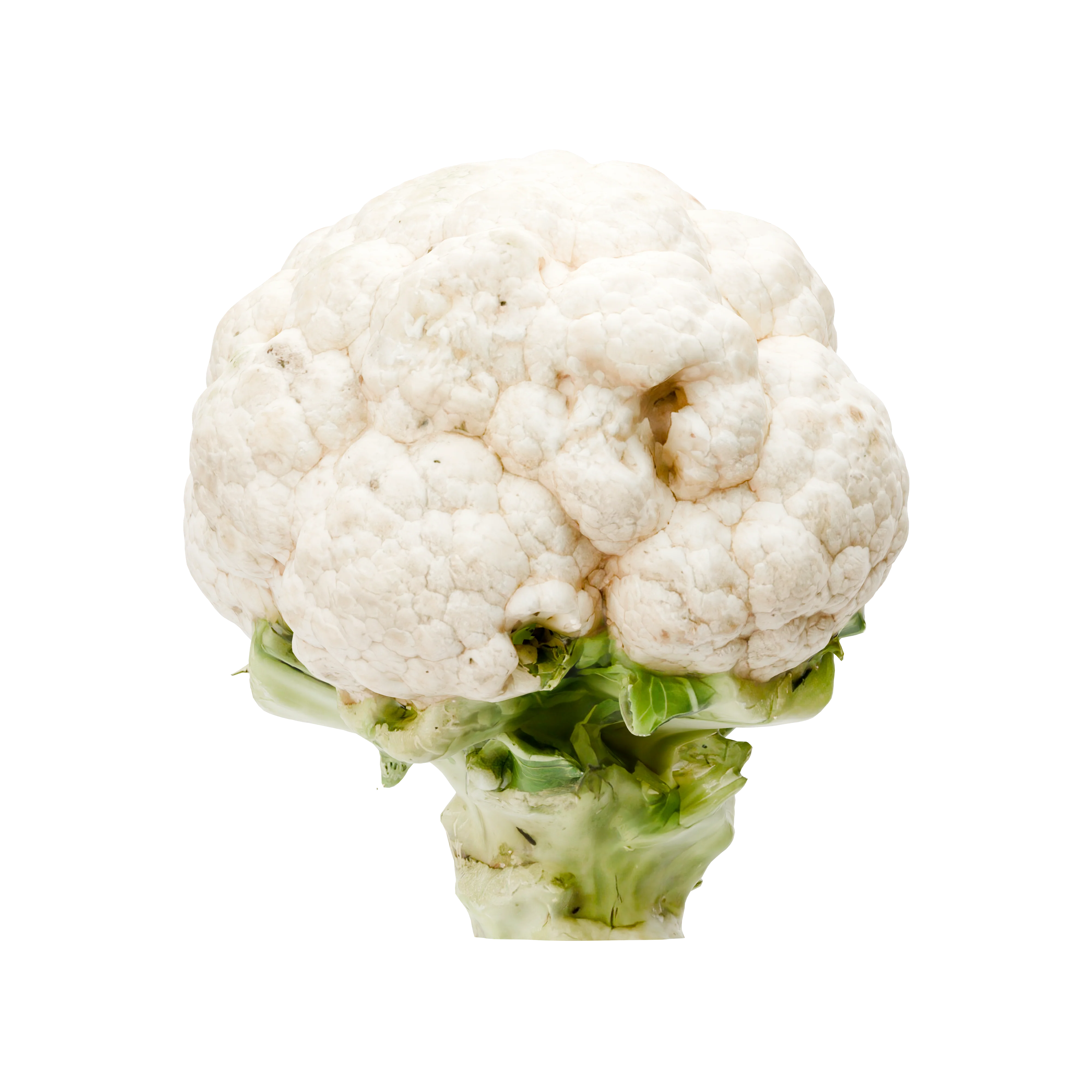 Bloemkool