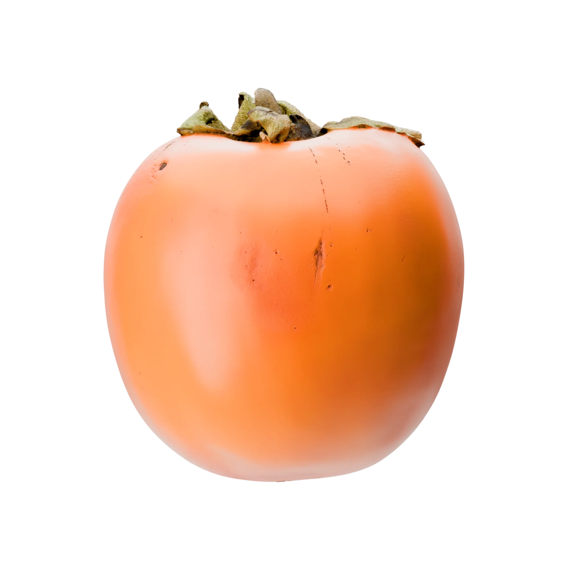 Kaki