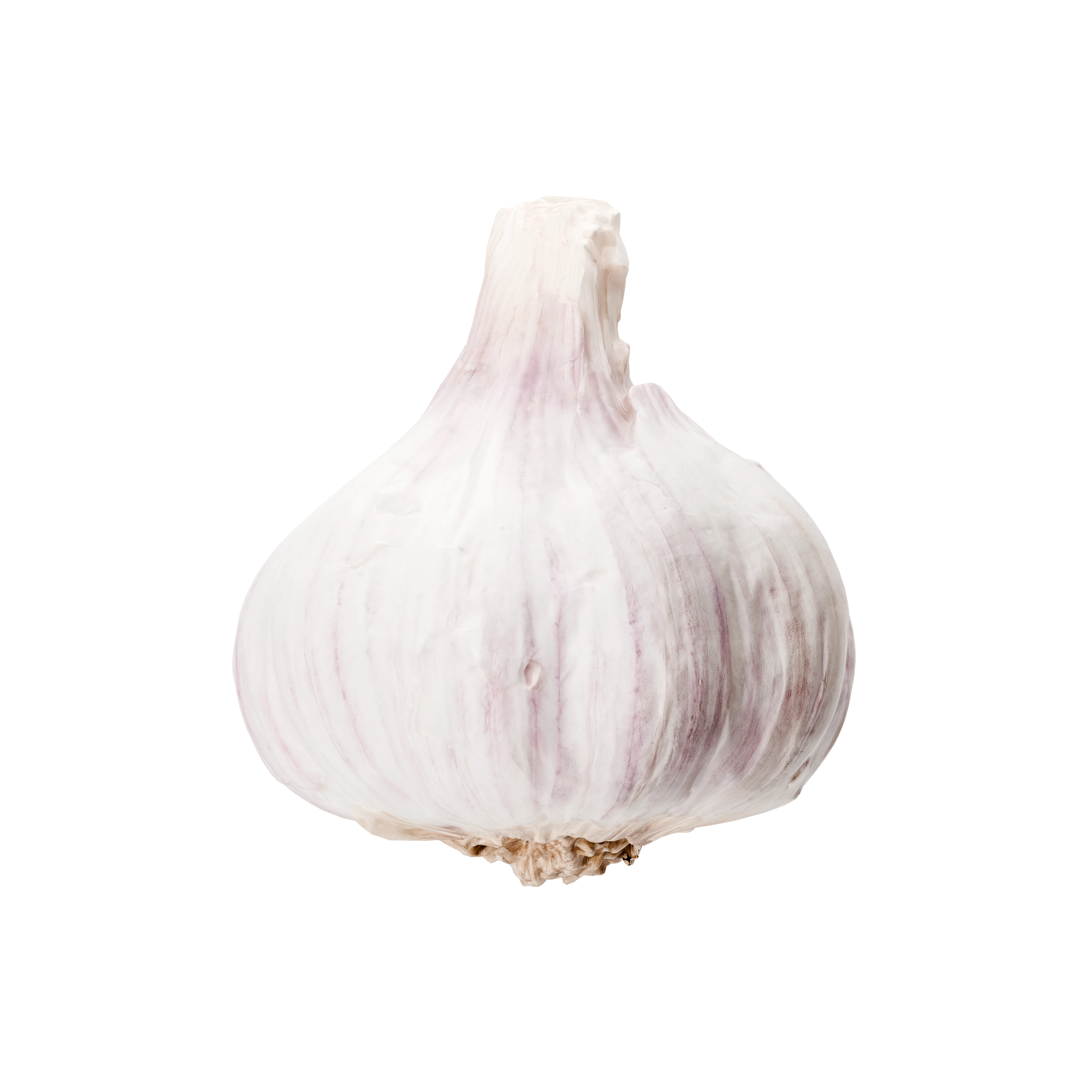 Knoflook