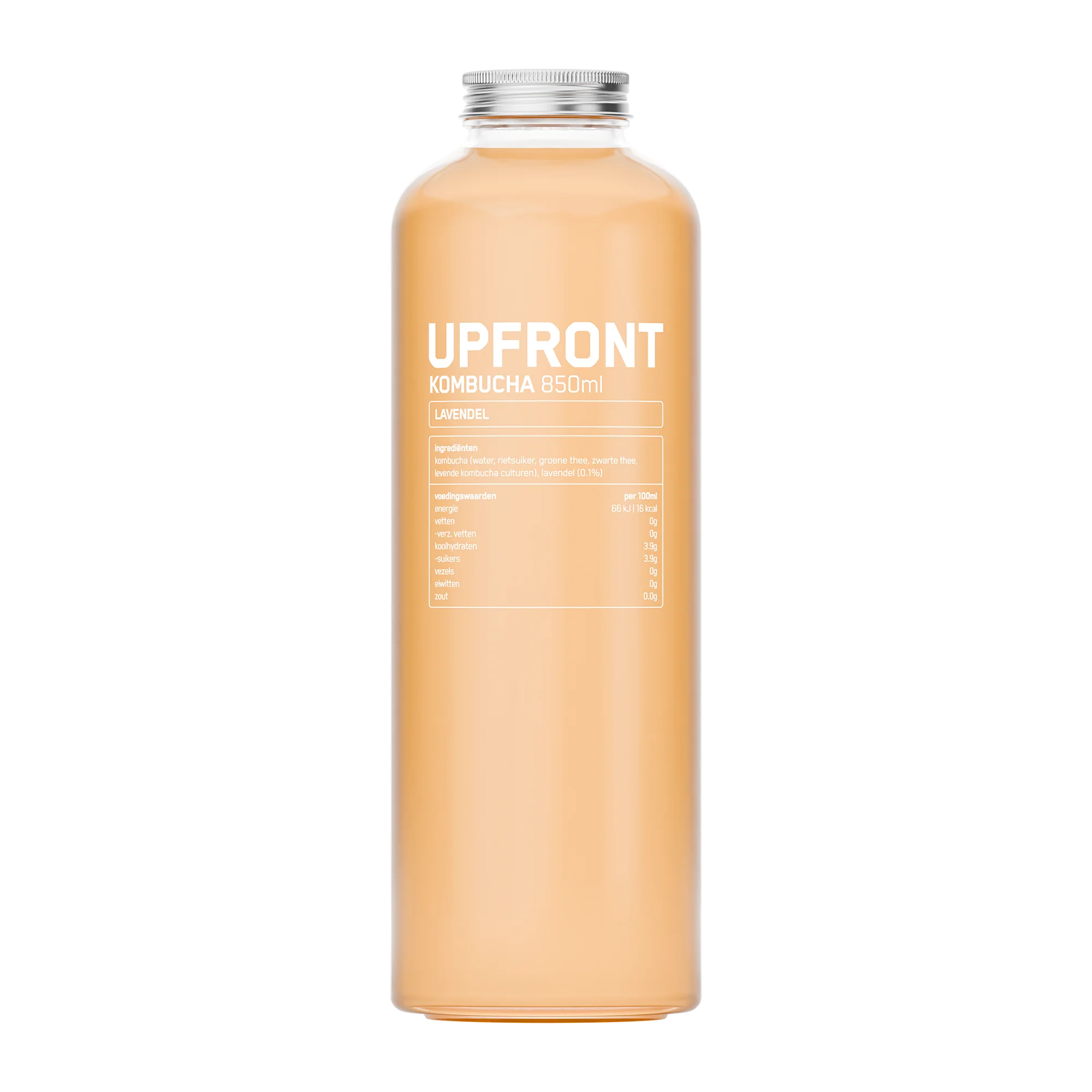 Kombucha - Image 2
