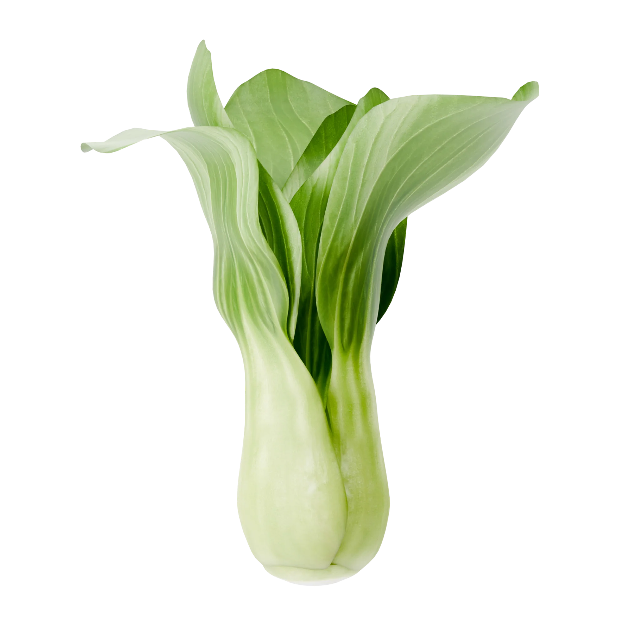 Paksoy