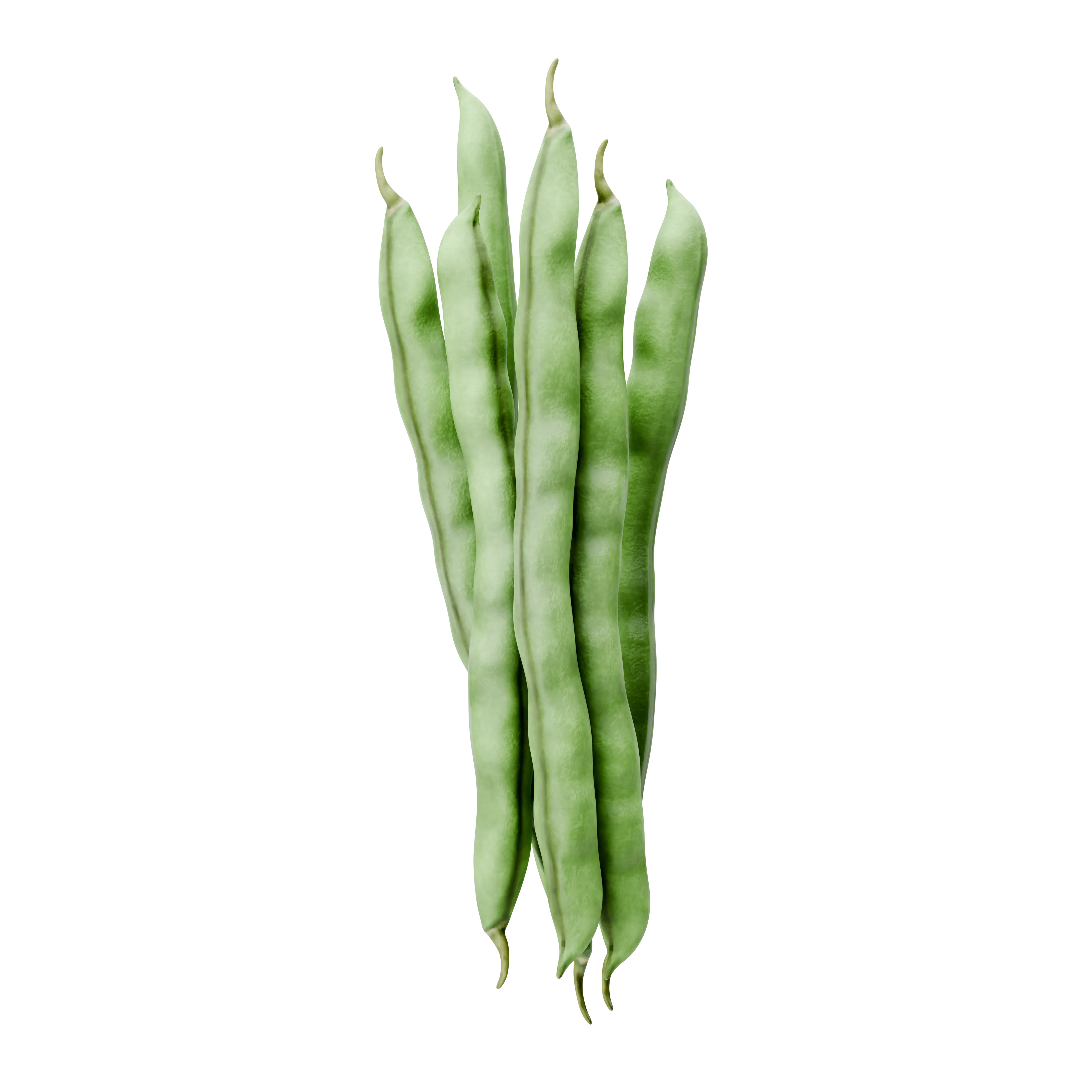 Sperziebonen