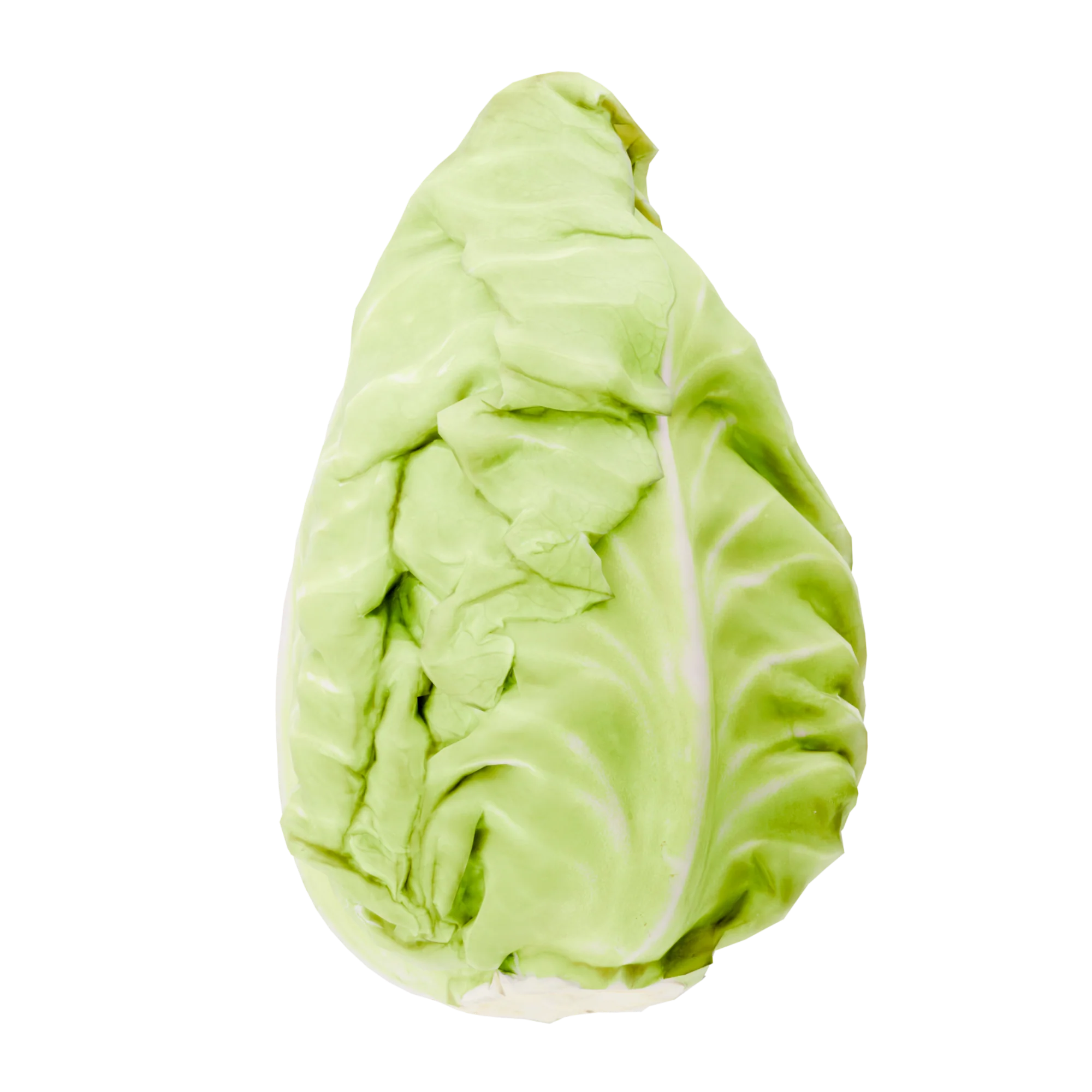 Spitskool