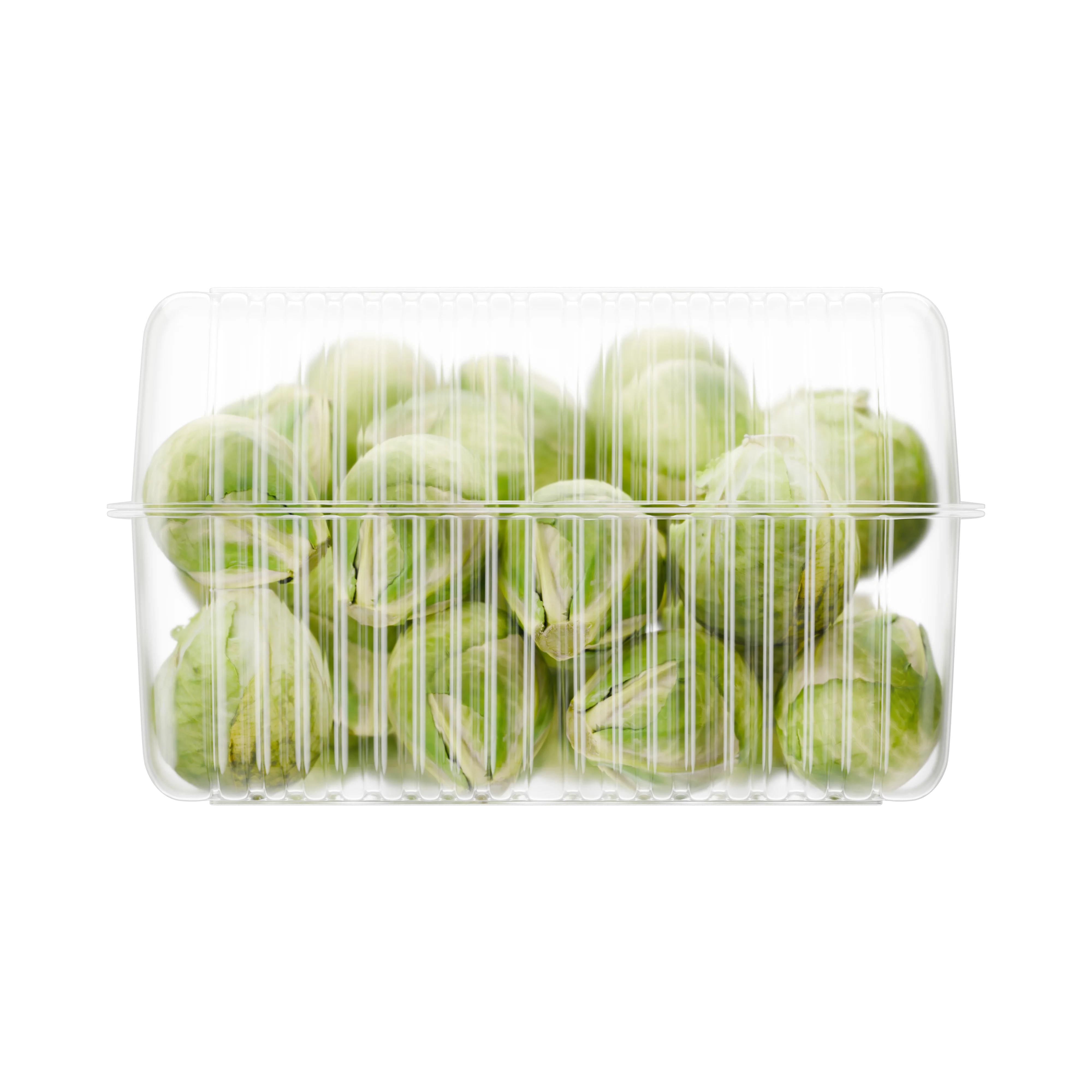 Spruiten